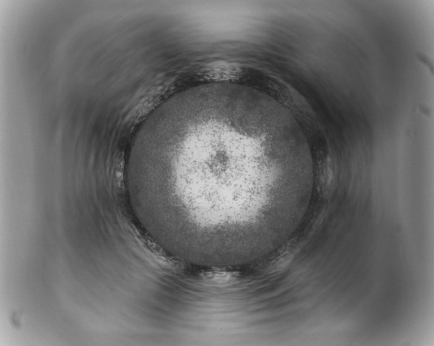 X0000102310553200807251442