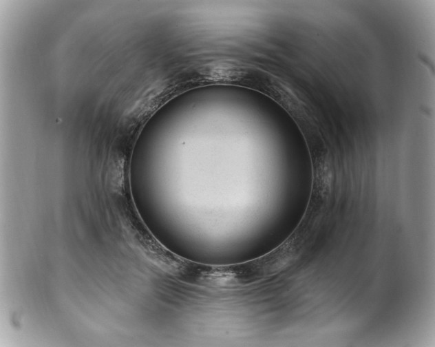 X0000102310554200807251442