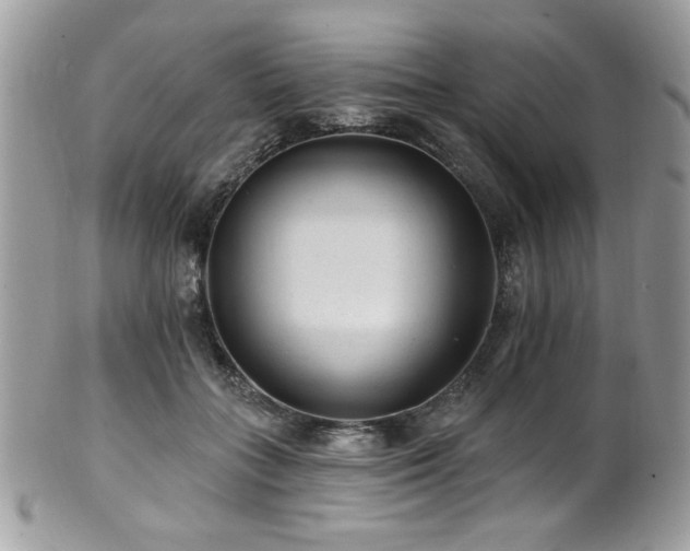 X0000102310555200807251442