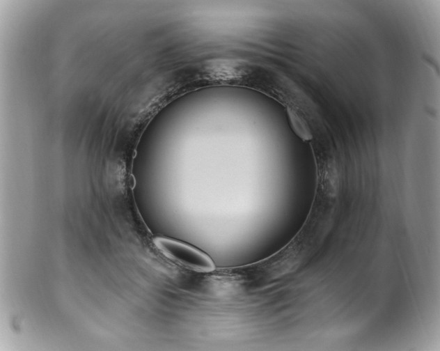 X0000102310556200807251442