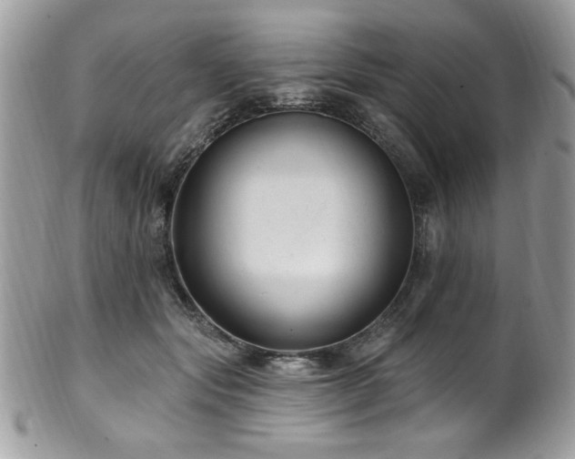 X0000102310557200807251442