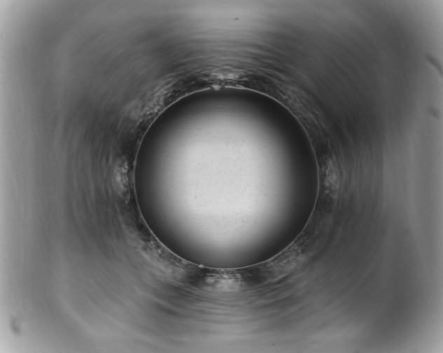 X0000102310559200807251442