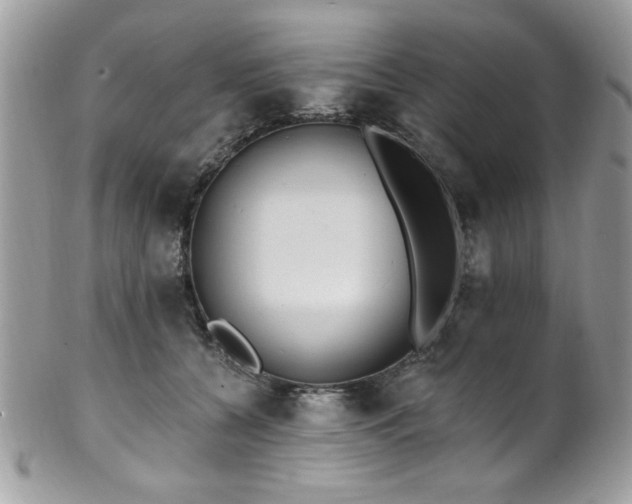 X0000102310560200807251442