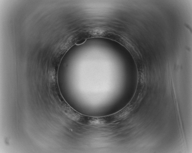 X0000102310561200807251442