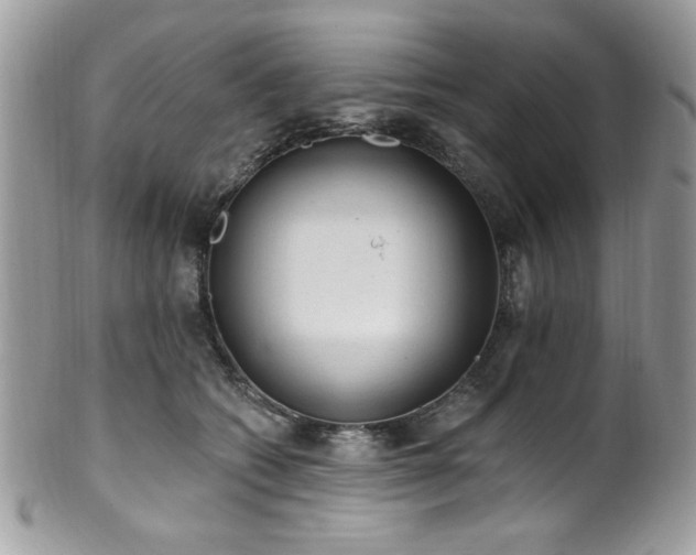 X0000102310562200807251442