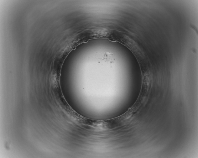 X0000102310564200807251442