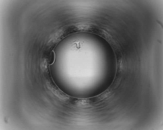 X0000102310567200807251442