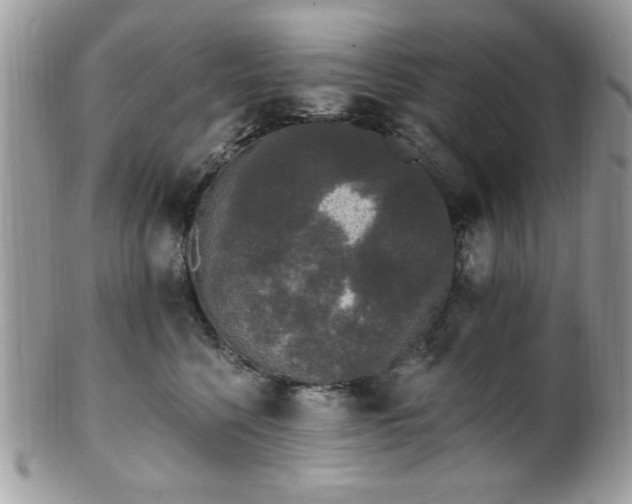 X0000102310568200807251442