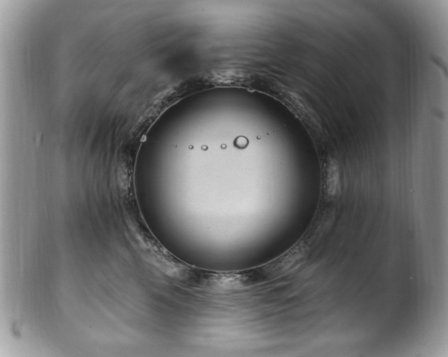 X0000102310569200807251442