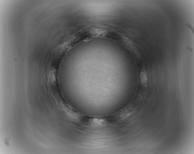 X0000102310570200807251442