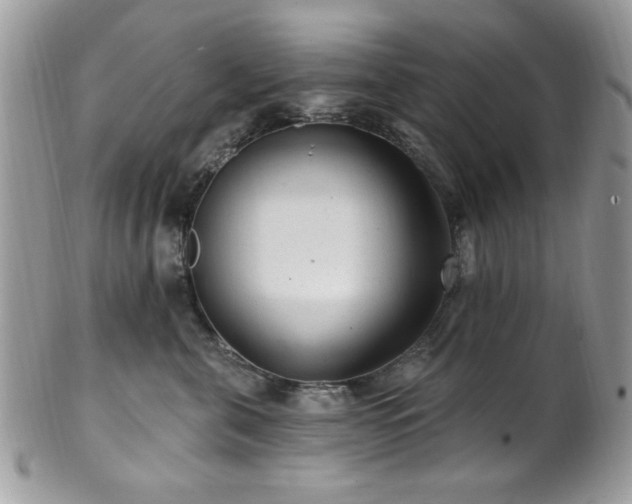 X0000102310571200807251442