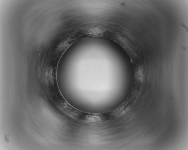 X0000102310572200807251442