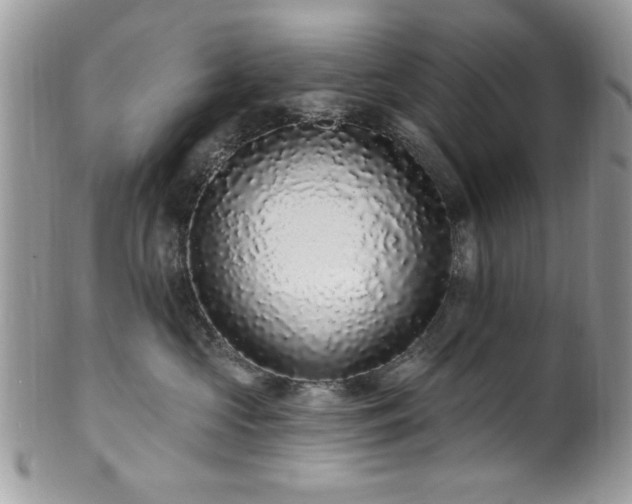 X0000102310573200807251442