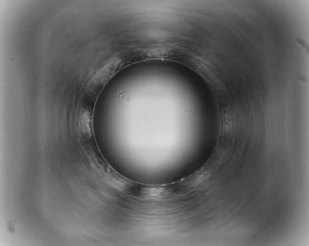 X0000102310575200807251442