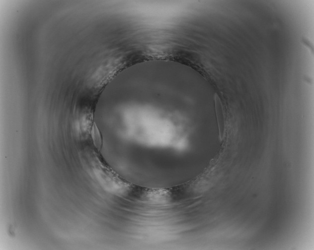 X0000102310576200807251442