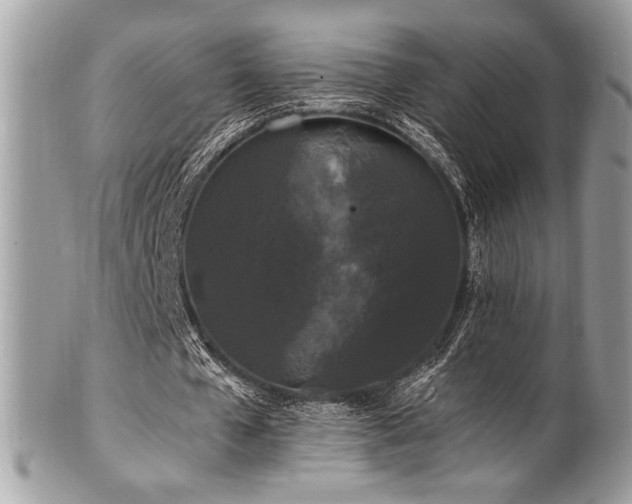 X0000102310577200807251442