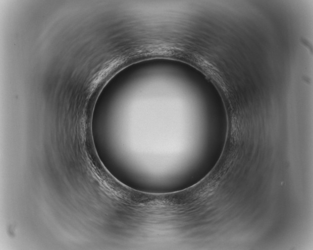 X0000102310578200807251442