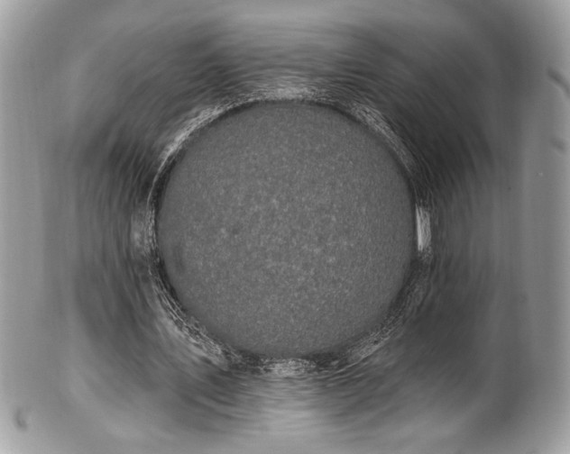 X0000102310579200807251442