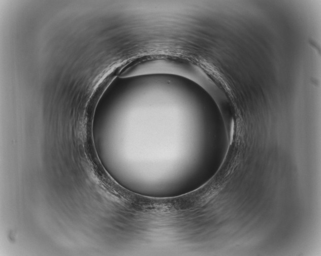 X0000102310580200807251442