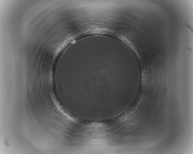 X0000102310581200807251442