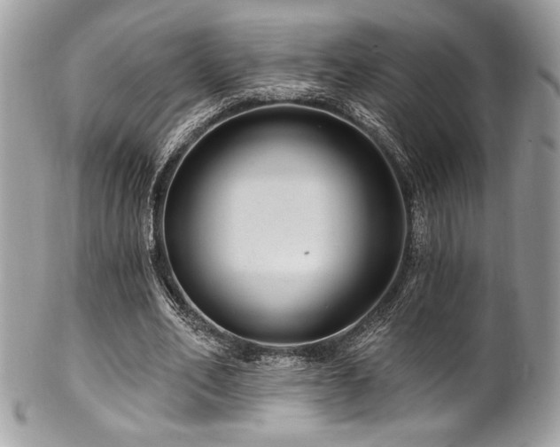 X0000102310582200807251442