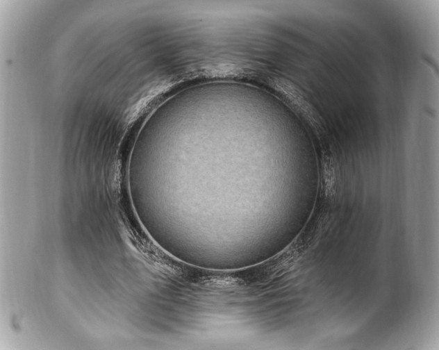 X0000102310583200807251442