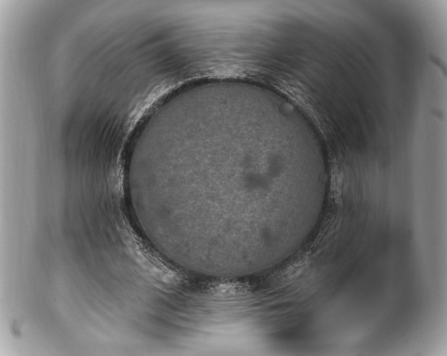 X0000102310584200807251442