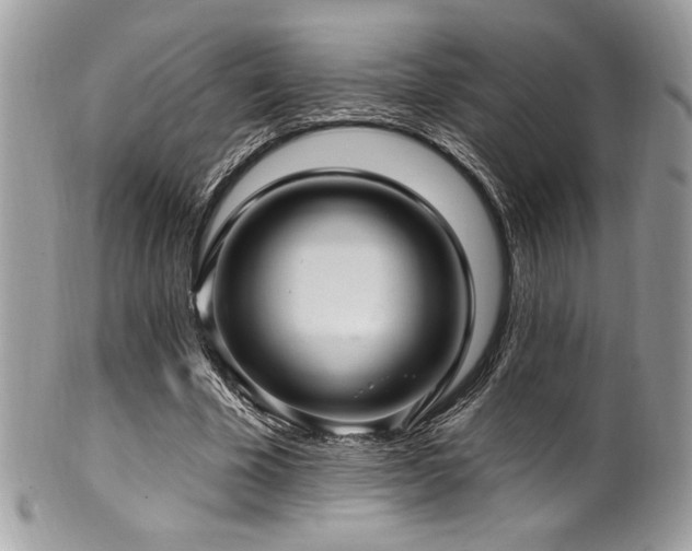 X0000102310585200807251442