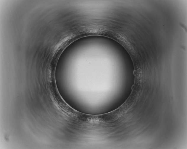 X0000102310587200807251442