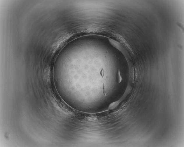 X0000102310588200807251442