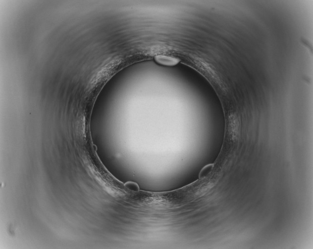 X0000102310589200807251442