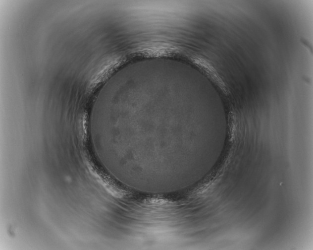 X0000102310590200807251442