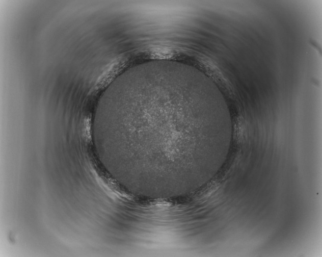 X0000102310598200807251441