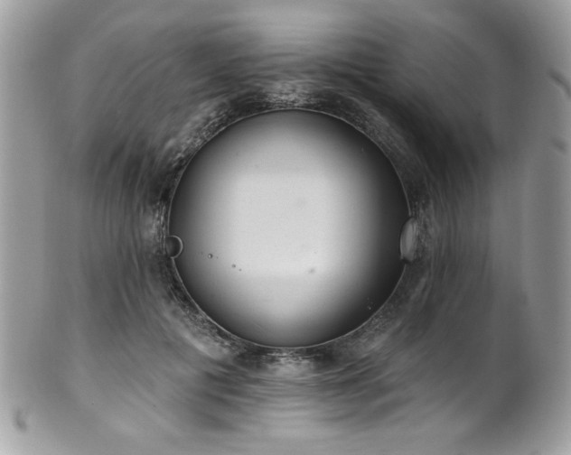 X0000102310601200807251441