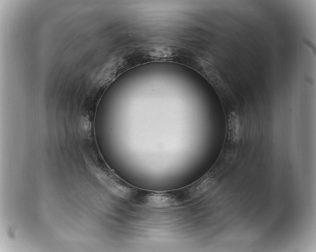 X0000102310614200807251441