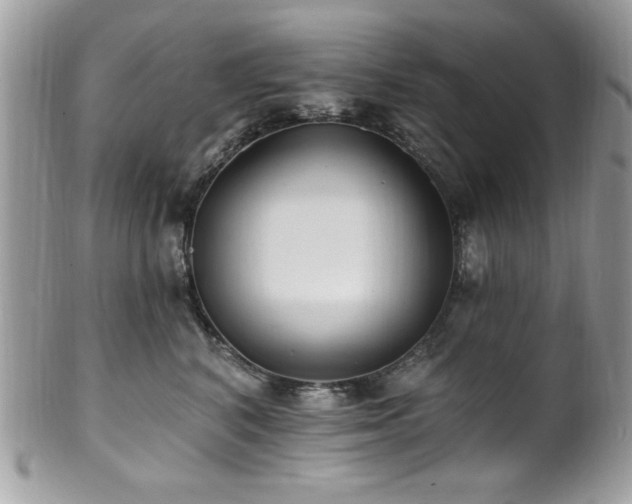 X0000102310616200807251441