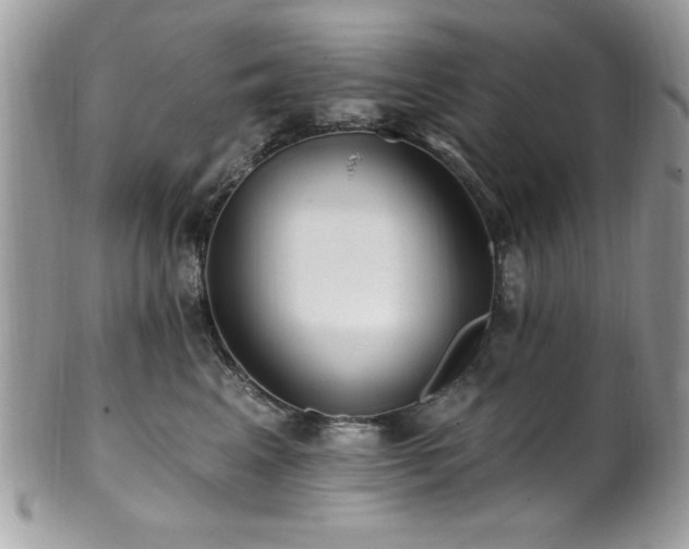 X0000102310617200807251441