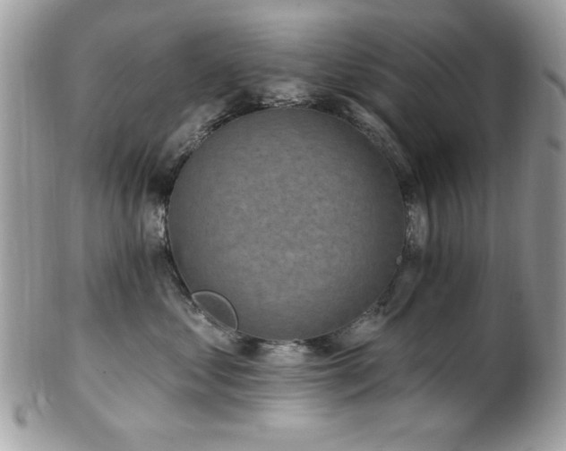 X0000102310621200807251441