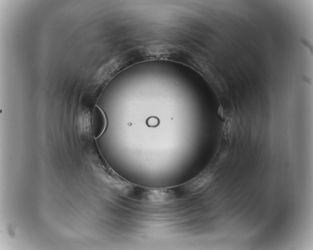X0000102310623200807251441