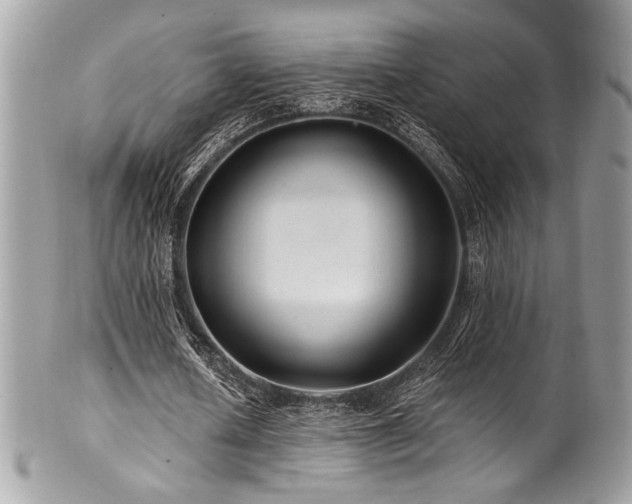 X0000102310626200807251440