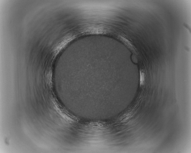 X0000102310627200807251440
