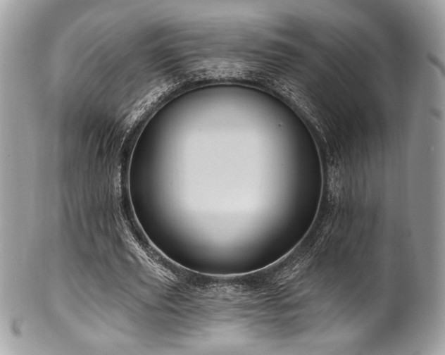X0000102310629200807251440
