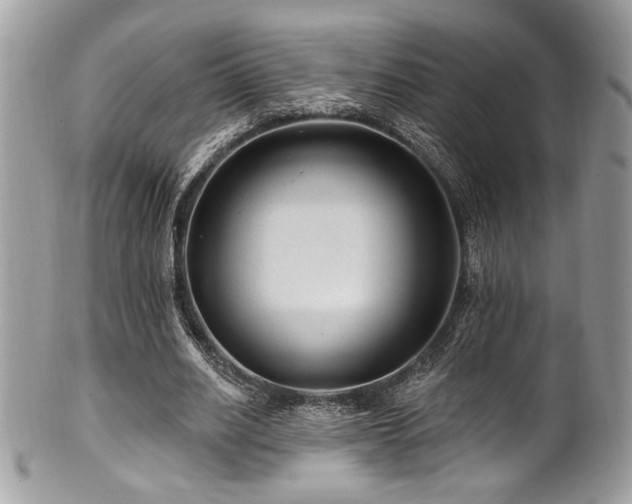 X0000102310630200807251440