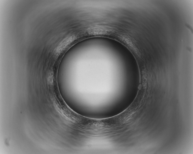 X0000102310631200807251440