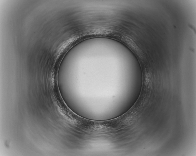X0000102310632200807251440