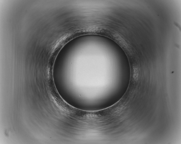 X0000102310636200807251441
