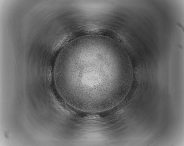 X0000102310642200807251441