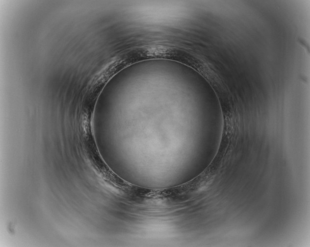 X0000102310648200807251441