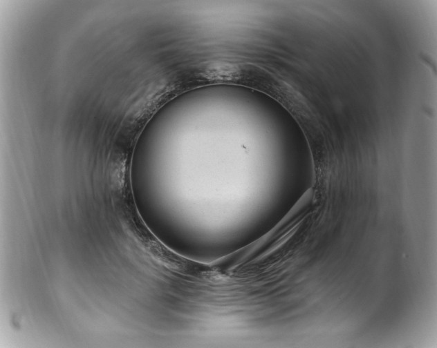 X0000102310652200807251441