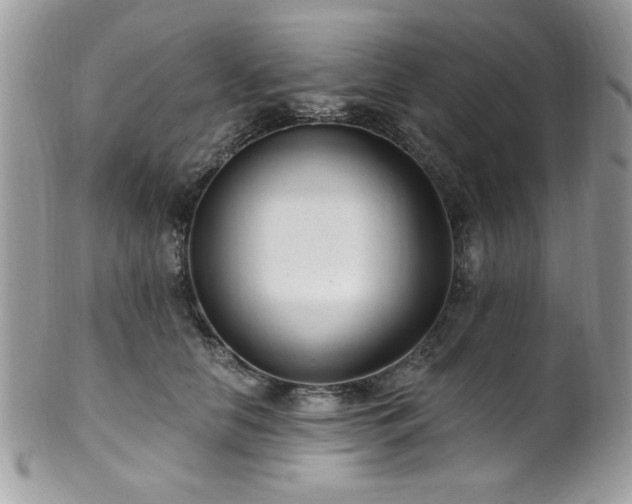 X0000102310658200807251441